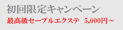 初回限定キャンペーン